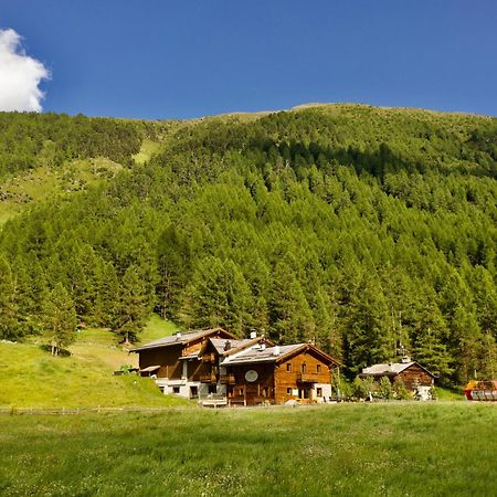 Agriturismo Bosco D'Oro ลีวินโญ ภายนอก รูปภาพ